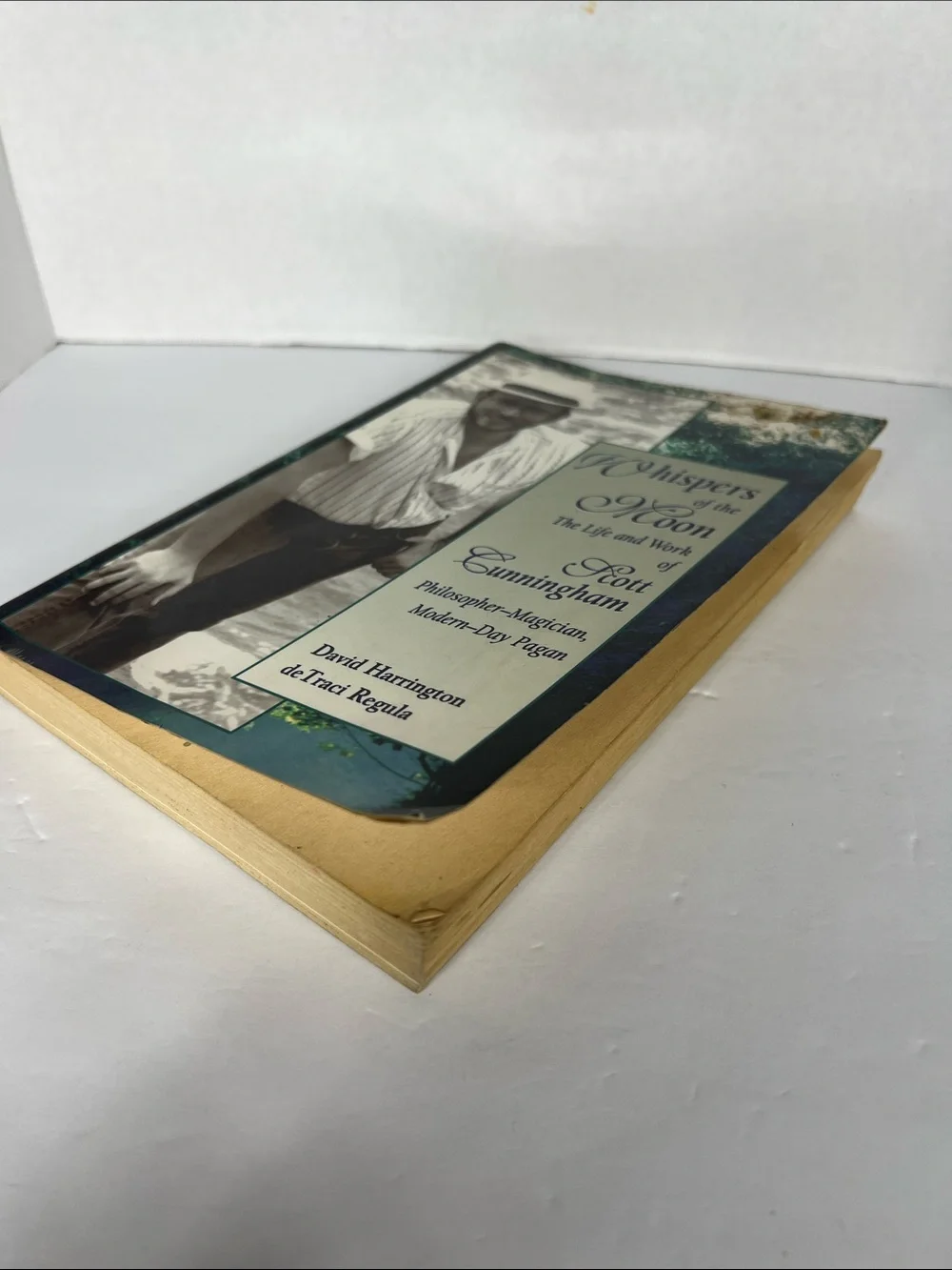 Scott Cunningham Pagan Book Set Whispers of the Moon & Earth Air Fire and Water